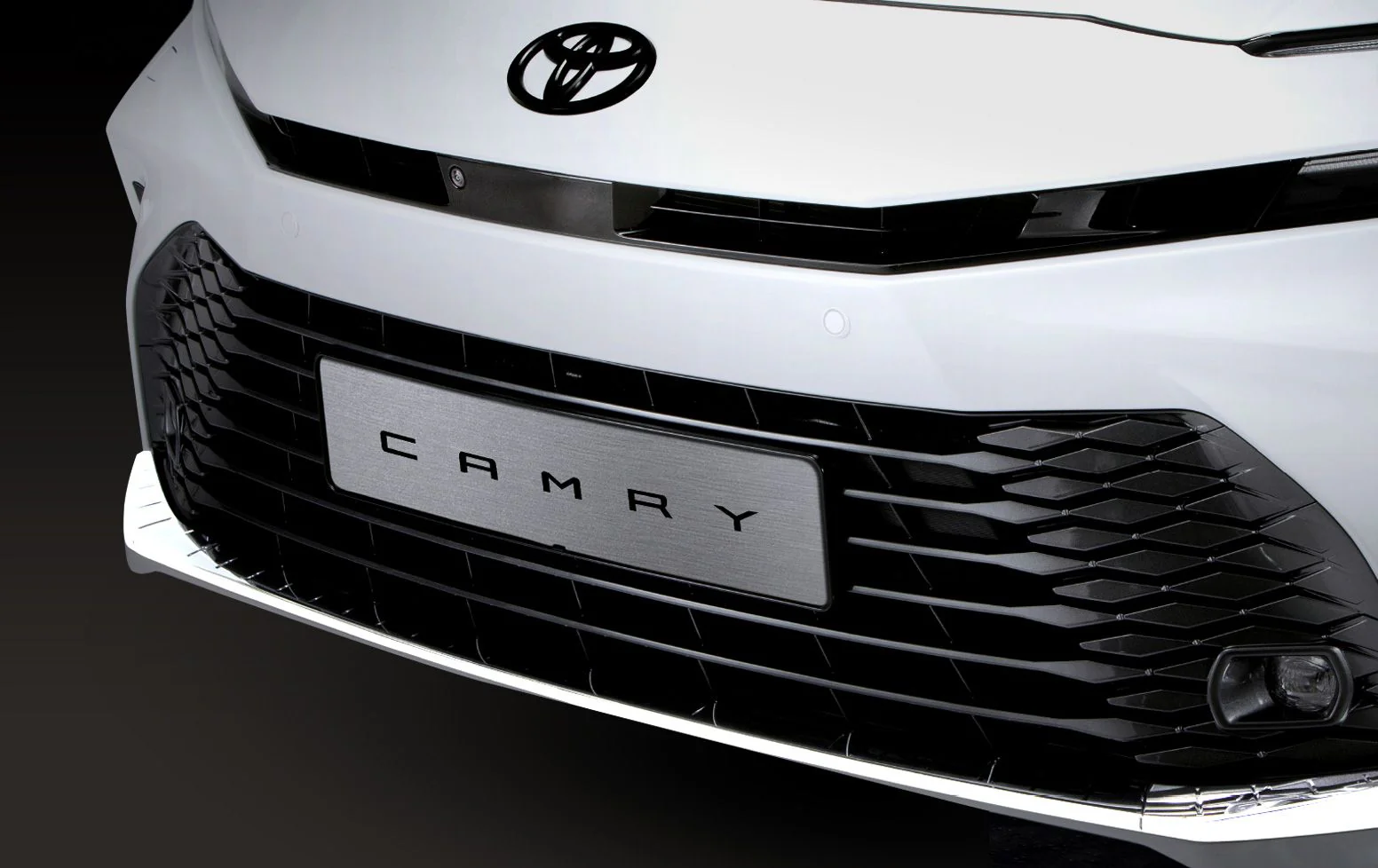 프론트 범퍼 가니시