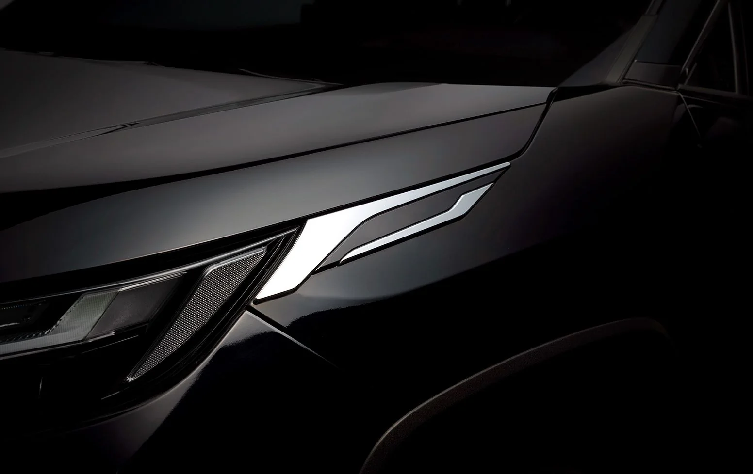 헤드라이트 가니시